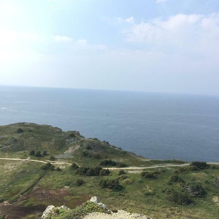 Mermaid Inn Bnb Twillingate Esterno foto